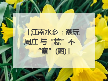 江南水乡：潮玩周庄 与“粽”不“童”(图)