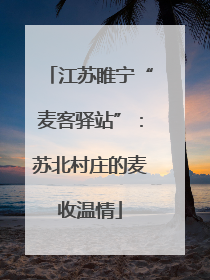 江苏睢宁“麦客驿站”：苏北村庄的麦收温情