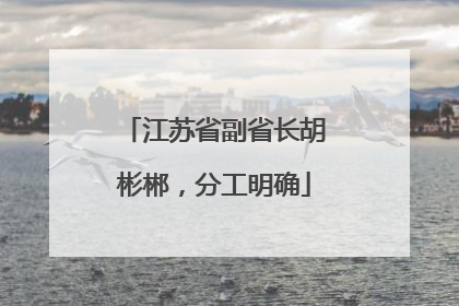 江苏省副省长胡彬郴，分工明确