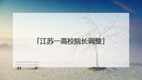 江苏一高校院长调整