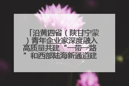 沿黄四省（陕甘宁蒙）青年企业家深度融入高质量共建“一带一路”和西部陆海新通道建设战略合作交流会在甘肃兰州召开