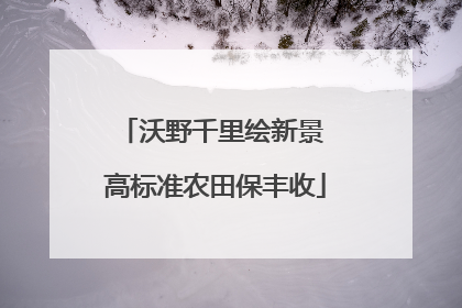 沃野千里绘新景 高标准农田保丰收