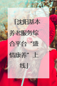 沈阳基本养老服务综合平台“盛情康养”上线