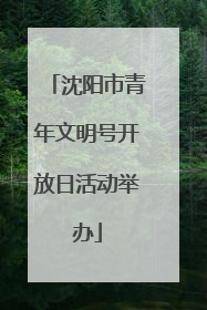 沈阳市青年文明号开放日活动举办