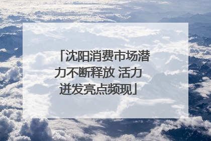 沈阳消费市场潜力不断释放 活力迸发亮点频现