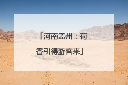 河南孟州：荷香引得游客来