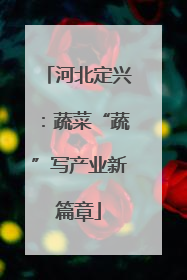 河北定兴：蔬菜“蔬”写产业新篇章