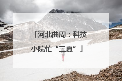 河北曲周：科技小院忙“三夏”