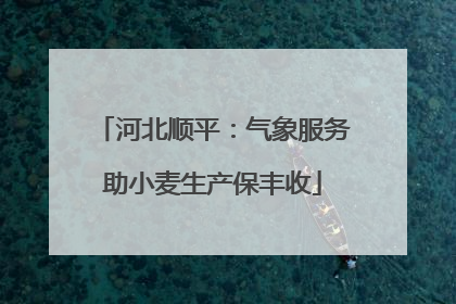 河北顺平：气象服务助小麦生产保丰收