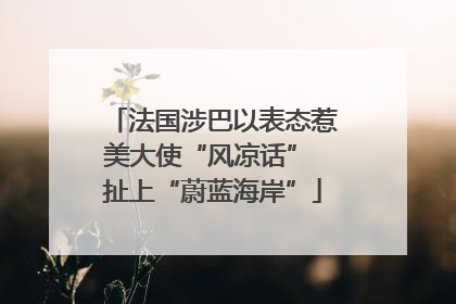 法国涉巴以表态惹美大使“风凉话” 扯上“蔚蓝海岸”