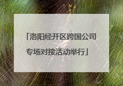 洛阳经开区跨国公司专场对接活动举行