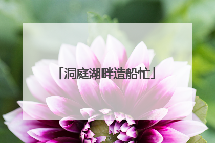 洞庭湖畔造船忙
