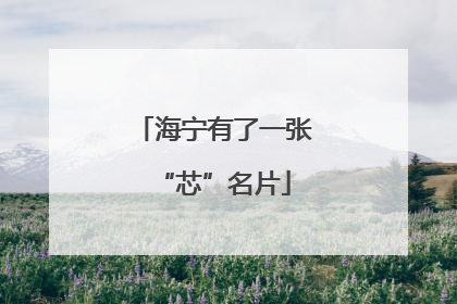 海宁有了一张“芯”名片
