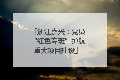 浙江嘉兴：党员“红色专班”护航重大项目建设
