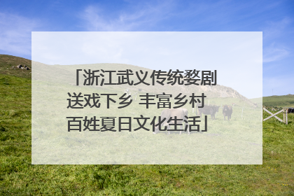 浙江武义传统婺剧送戏下乡 丰富乡村百姓夏日文化生活