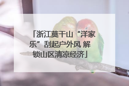 浙江莫干山“洋家乐”刮起户外风 解锁山区清凉经济