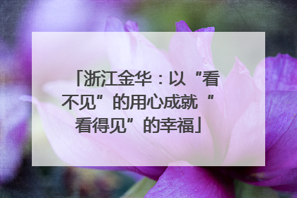 浙江金华：以“看不见”的用心成就“看得见”的幸福
