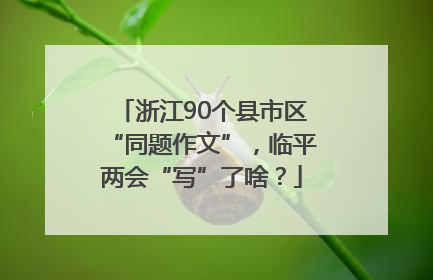 浙江90个县市区“同题作文”，临平两会“写”了啥？