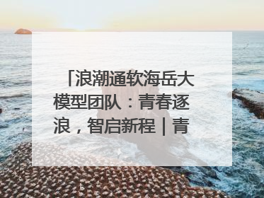 浪潮通软海岳大模型团队：青春逐浪，智启新程｜青春思政课
