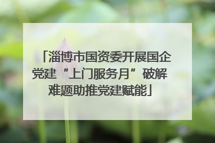 淄博市国资委开展国企党建“上门服务月”破解难题助推党建赋能