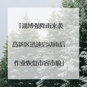 淄博强降雨来袭 高新区迅速启动雨后作业恢复市容市貌