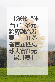 深化“体育+”多元跨界融合发展——江苏省首届匹克球大赛在无锡开赛