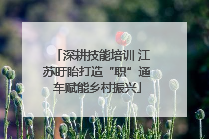 深耕技能培训 江苏盱眙打造“职”通车赋能乡村振兴