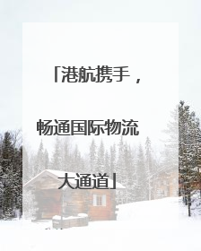 港航携手，畅通国际物流大通道