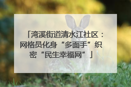 湾溪街道清水江社区：网格员化身“多面手”织密“民生幸福网”