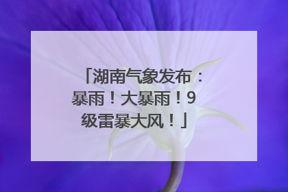 湖南气象发布：暴雨！大暴雨！9级雷暴大风！