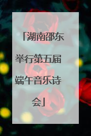 湖南邵东举行第五届端午音乐诗会