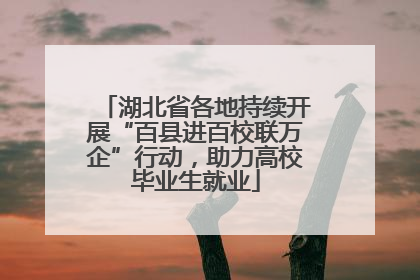 湖北省各地持续开展“百县进百校联万企”行动，助力高校毕业生就业