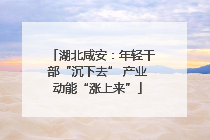 湖北咸安：年轻干部“沉下去” 产业动能“涨上来”