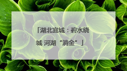 湖北宜城：碧水绕城 河湖“淌金”