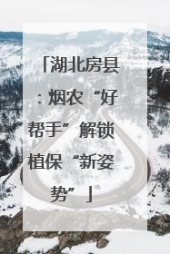 湖北房县：烟农“好帮手”解锁植保“新姿势”