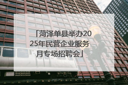 菏泽单县举办2025年民营企业服务月专场招聘会