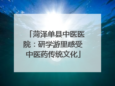 菏泽单县中医医院：研学游里感受中医药传统文化