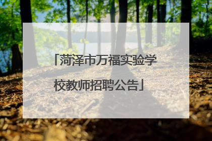 菏泽市万福实验学校教师招聘公告