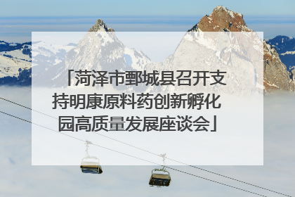 菏泽市鄄城县召开支持明康原料药创新孵化园高质量发展座谈会