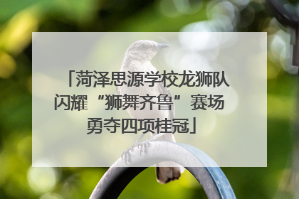 菏泽思源学校龙狮队闪耀“狮舞齐鲁”赛场 勇夺四项桂冠