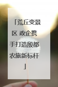 荒丘变景区 政企携手打造殷都农旅新标杆