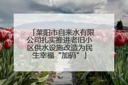 莱阳市自来水有限公司扎实推进老旧小区供水设施改造为民生幸福“加码”