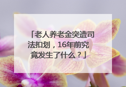 老人养老金突遭司法扣划，16年前究竟发生了什么？