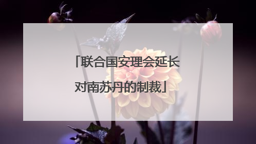 联合国安理会延长对南苏丹的制裁