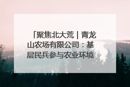 聚焦北大荒｜青龙山农场有限公司：基层民兵参与农业环境综合治理显效