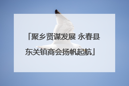 聚乡贤谋发展 永春县东关镇商会扬帆起航