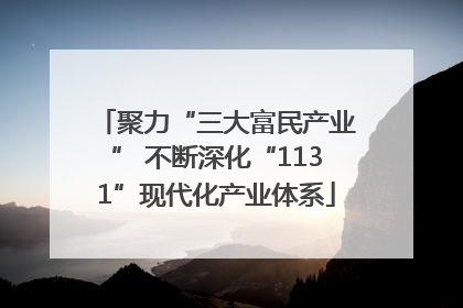 聚力“三大富民产业” 不断深化“1131”现代化产业体系