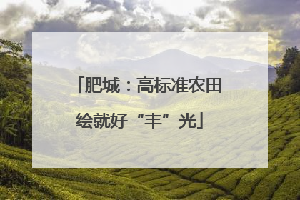 肥城：高标准农田绘就好“丰”光