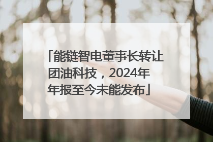 能链智电董事长转让团油科技，2024年年报至今未能发布