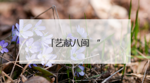 艺献八闽 “豫”见美好
